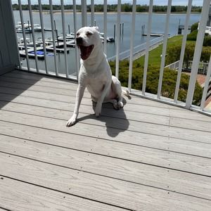 Meet your Posher, Geri